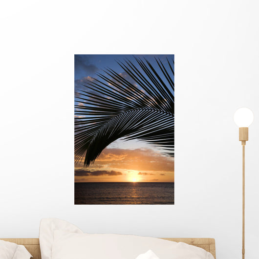 sunset framed by palm, maui, hawaii. Wall Mural