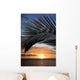 sunset framed by palm, maui, hawaii. Wall Mural