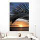 sunset framed by palm, maui, hawaii. Wall Mural
