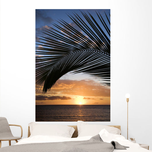 sunset framed by palm, maui, hawaii. Wall Mural