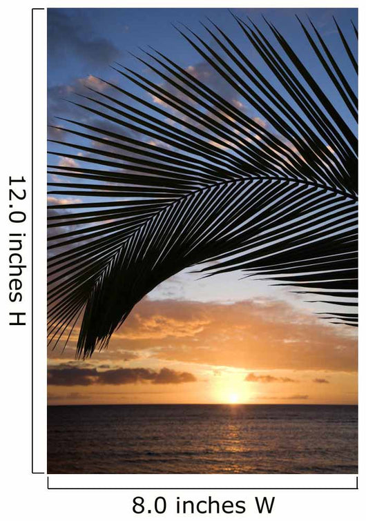 sunset framed by palm, maui, hawaii. Wall Mural