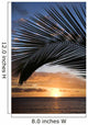 sunset framed by palm, maui, hawaii. Wall Mural