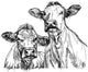 two cows - black and white sketch Wall Decal