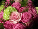 Roses En Bouquet Wall Mural