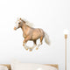Welsh Pony Gallops