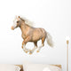 Welsh Pony Gallops