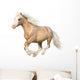 Welsh Pony Gallops