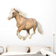 Welsh Pony Gallops