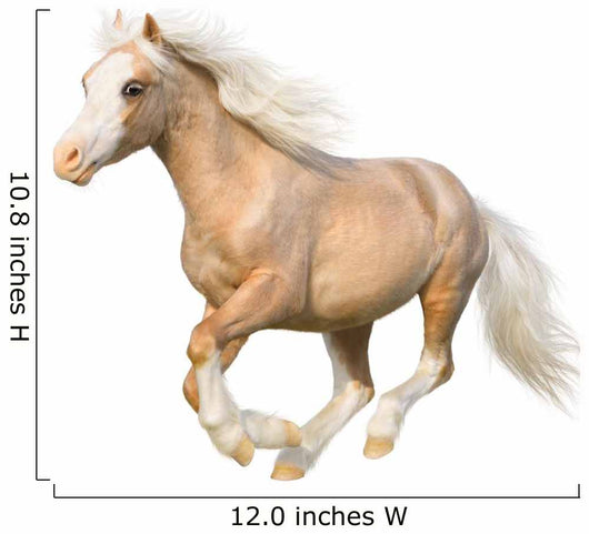 Welsh Pony Gallops