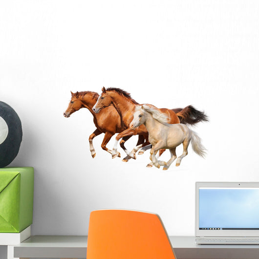 Three Horses Gallop Wall Decal