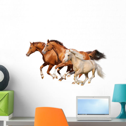 Three Horses Gallop Wall Decal