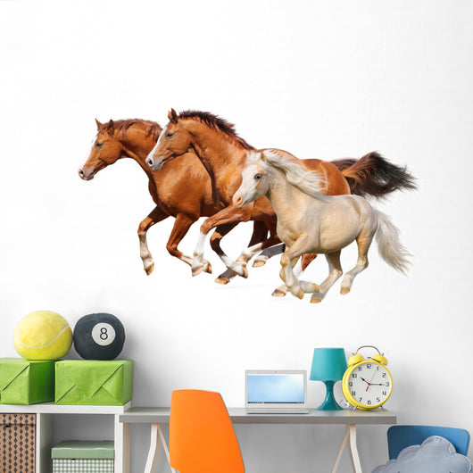 Three Horses Gallop Wall Decal