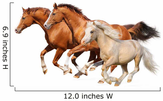 Three Horses Gallop Wall Decal