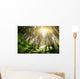 Mystic Forrest with Rising