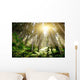 Mystic Forrest with Rising