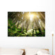Mystic Forrest with Rising