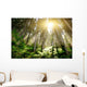 Mystic Forrest with Rising