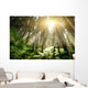 Mystic Forrest with Rising