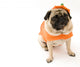 Pug Orange Costume Wall Mural