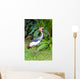 Southern Crowned Grey Crane Wall Mural