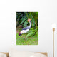 Southern Crowned Grey Crane Wall Mural