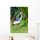 Southern Crowned Grey Crane Wall Mural