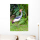 Southern Crowned Grey Crane Wall Mural