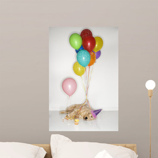Pooped Party Dog Wall Mural