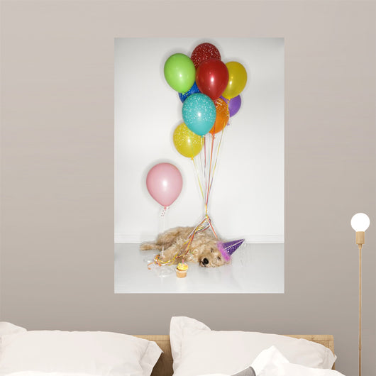 Pooped Party Dog Wall Mural