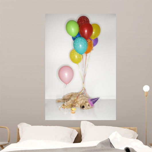 Pooped Party Dog Wall Mural