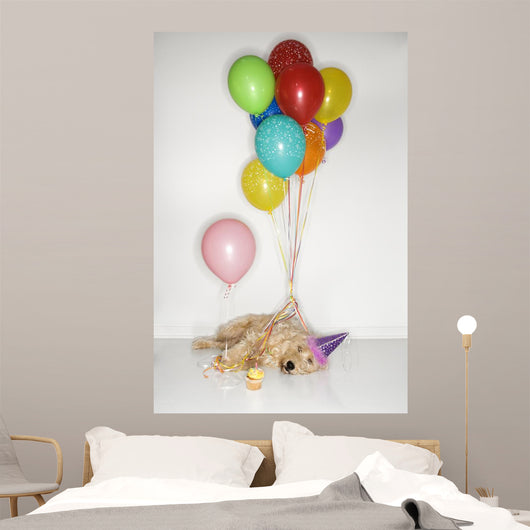 Pooped Party Dog Wall Mural