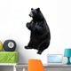 Black Bear White Wall Decal