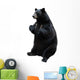 Black Bear White Wall Decal