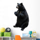 Black Bear White Wall Decal