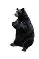Black Bear White Wall Decal