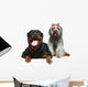 Rottweiler and gray, mongrel dog relax Wall Decal