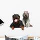 Rottweiler and gray, mongrel dog relax Wall Decal