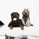 Rottweiler and gray, mongrel dog relax Wall Decal