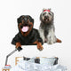 Rottweiler and gray, mongrel dog relax Wall Decal