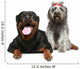 Rottweiler and gray, mongrel dog relax Wall Decal