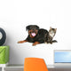 Rottweiler and cat lies on a white background Wall Decal