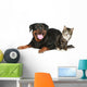 Rottweiler and cat lies on a white background Wall Decal