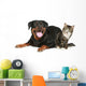 Rottweiler and cat lies on a white background Wall Decal