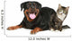 Rottweiler and cat lies on a white background Wall Decal