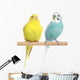 Two Budgie sit on a perch Wall Decal