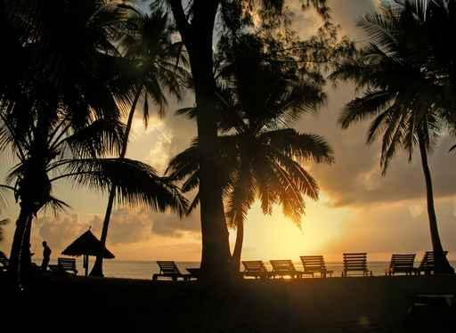 Sunrise Beach Indian Ocean Wall Decal