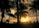 Sunrise Beach Indian Ocean Wall Decal