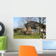 Bauernhof Wall Decal