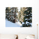 Winter Forest Wall Mural