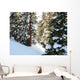 Winter Forest Wall Mural